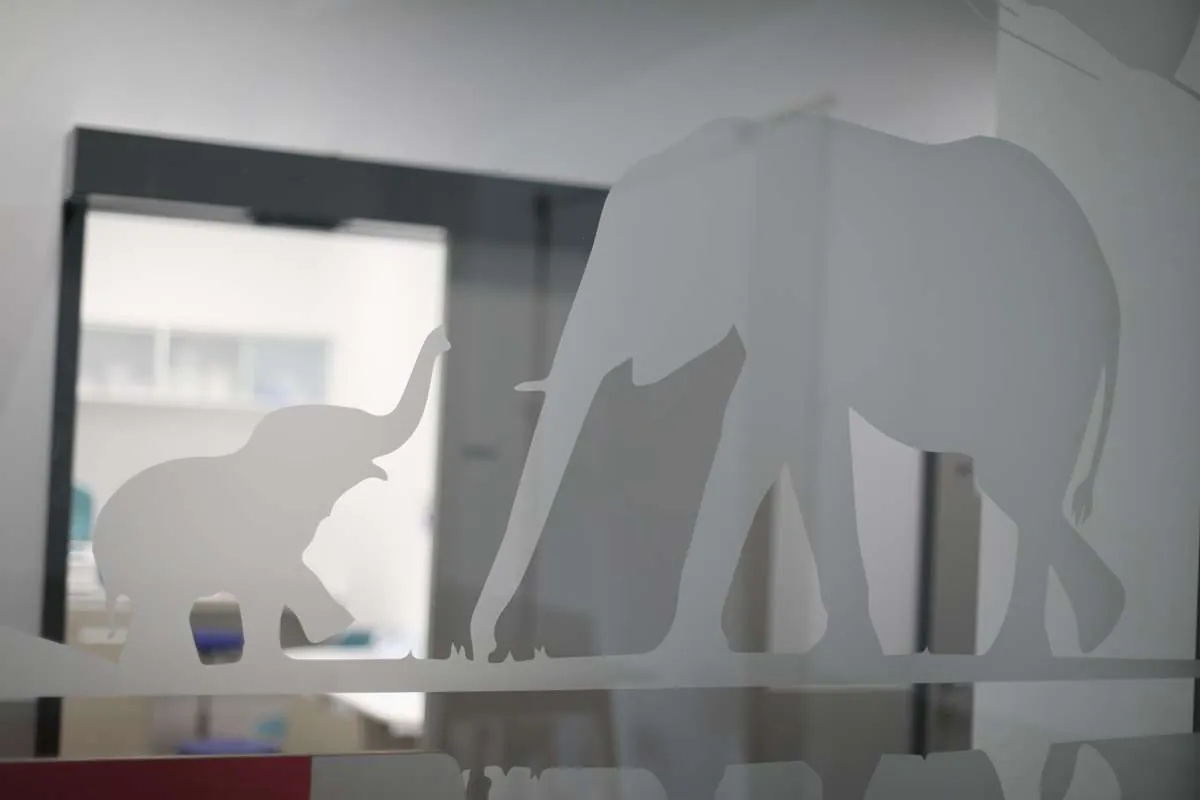 Milchglas Elefanten — kinder- und jugendärzte am werk, Rheinfelden